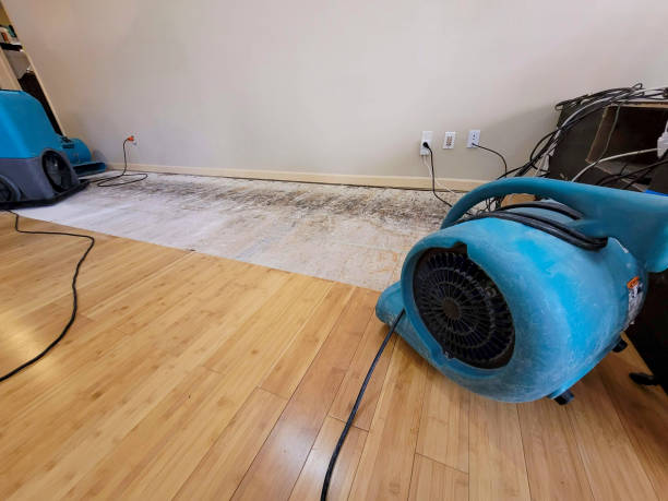 Professional Basement Flood Cleanup technician working in Osyka, MS